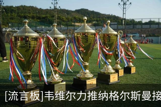 [流言板]韦维尔力推纳格尔斯曼接手曼联，威尔科克斯则要有英超经验